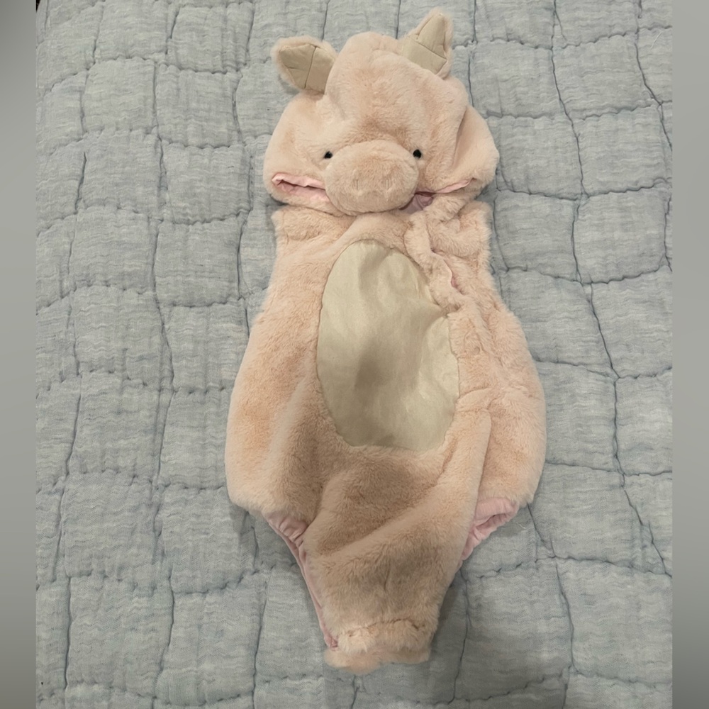 Pottery Barn Kids Piglet Costume, 12-24 months